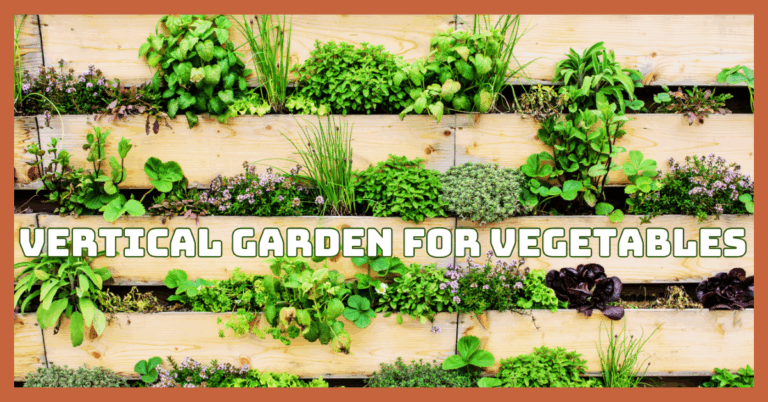 How To Create A Stunning Vertical Garden For Vegetables In Small Spaces