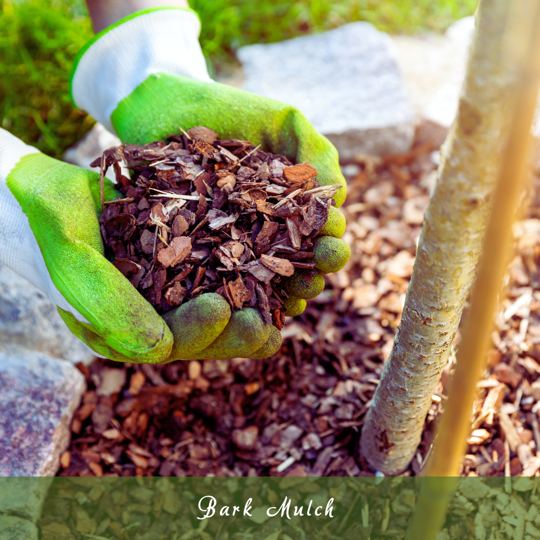 Bark Mulch
