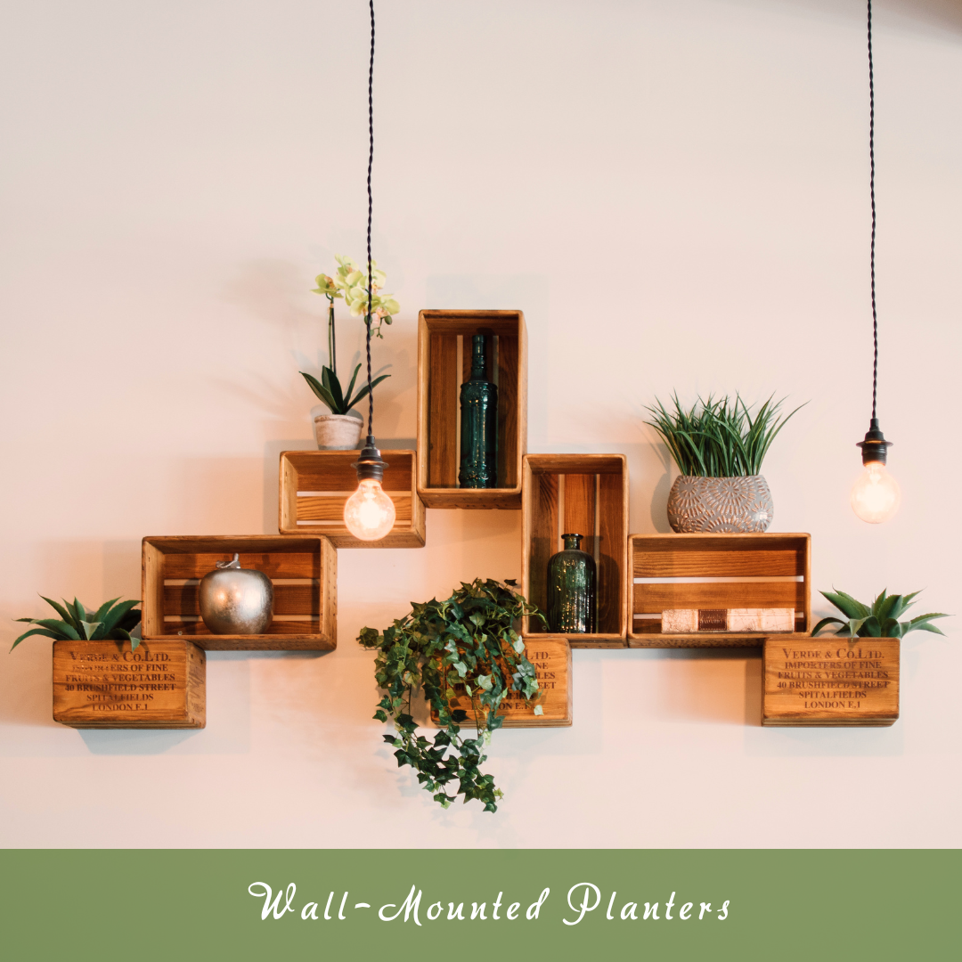 Wall-Mounted Planters