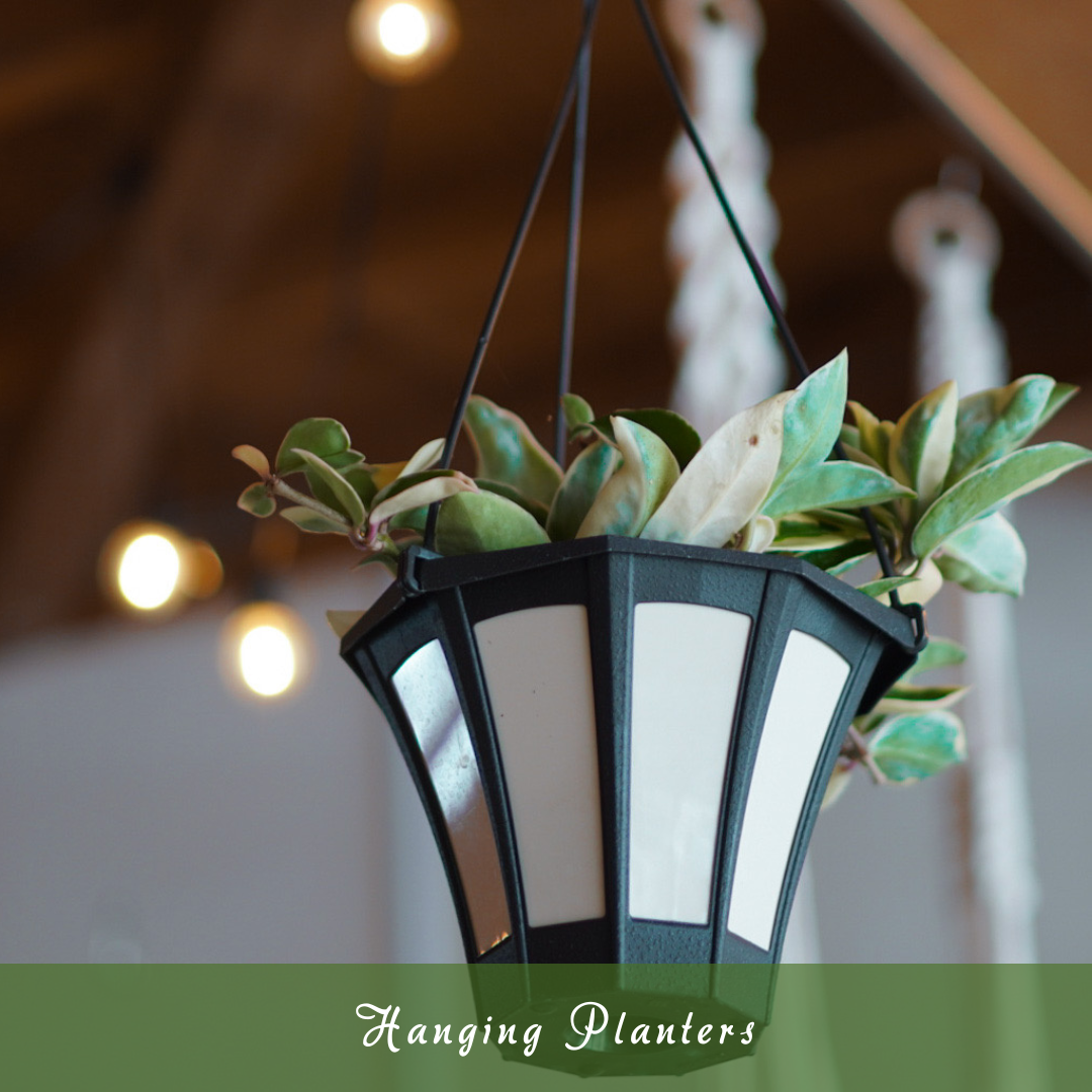 Hanging Planters