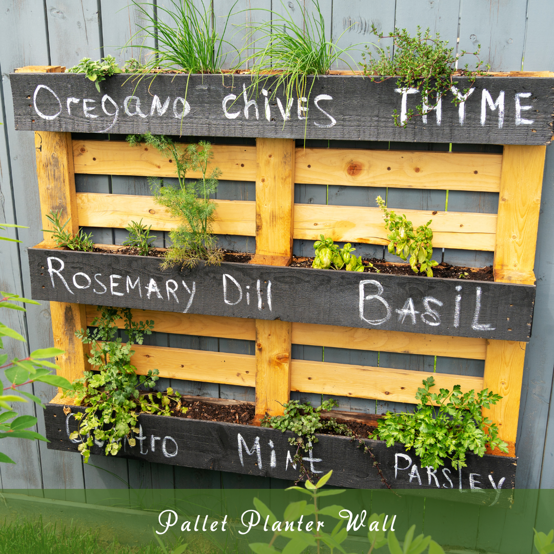 Pallet Planter Wall