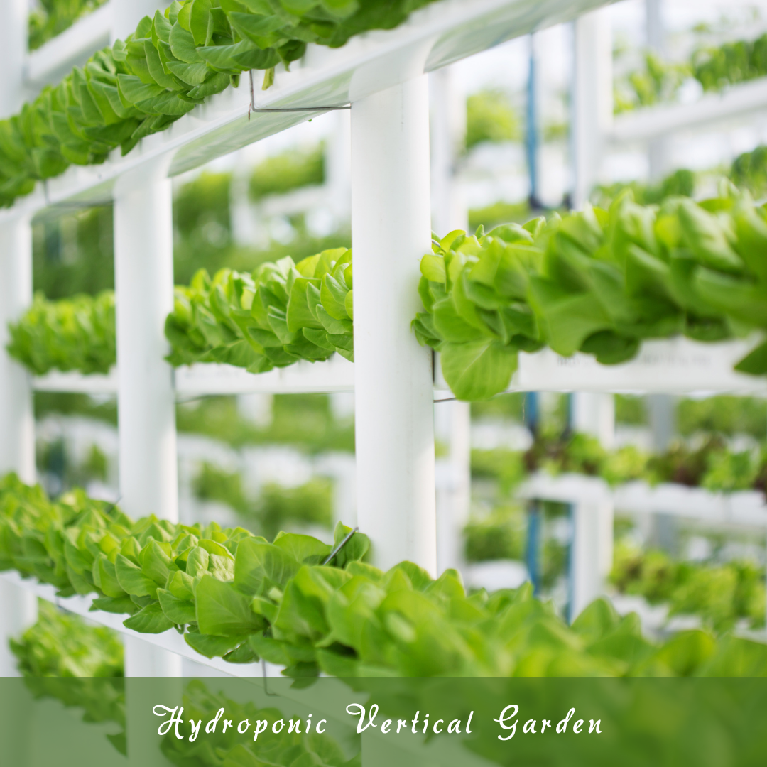 Hydroponic Vertical Garden