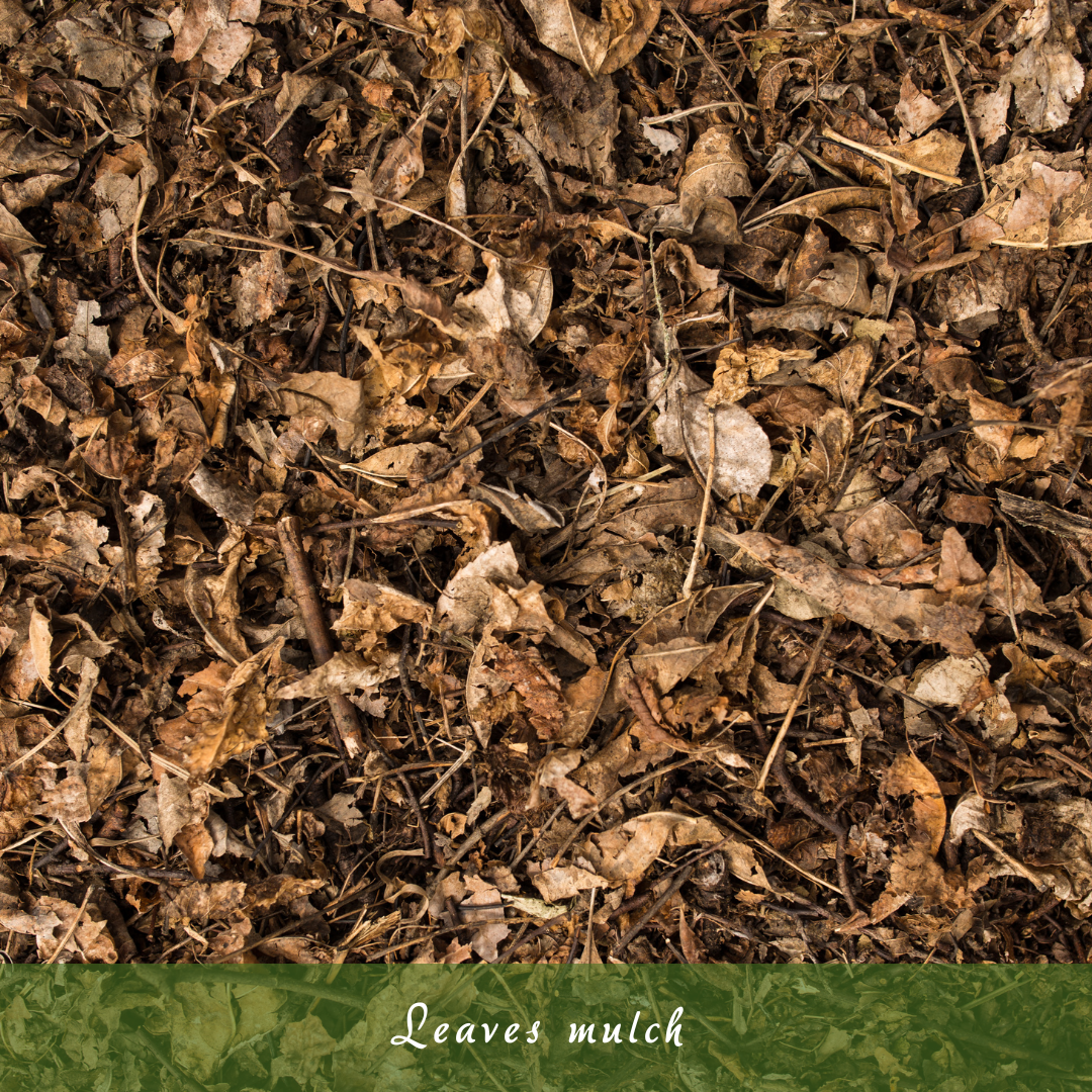Leaves Mulch