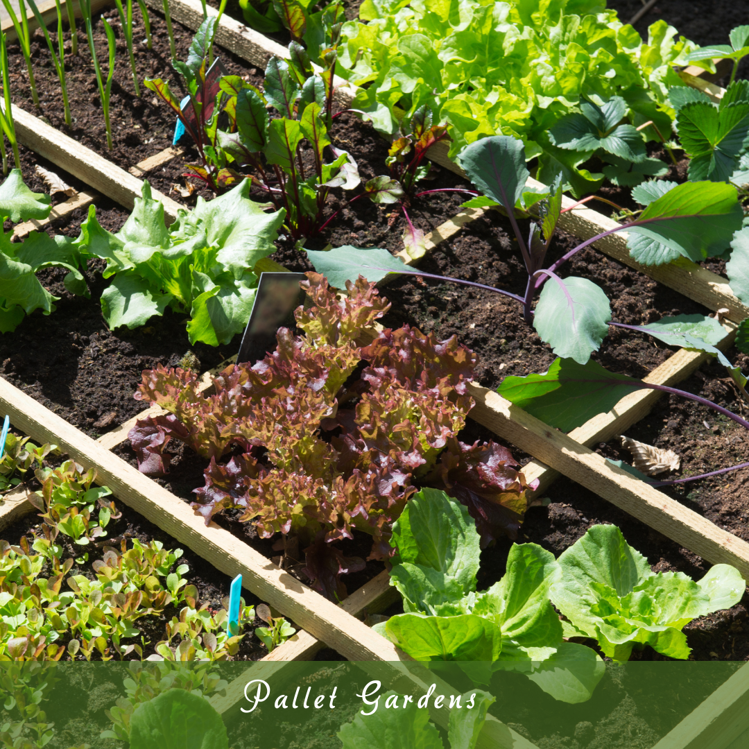 Pallet Gardens