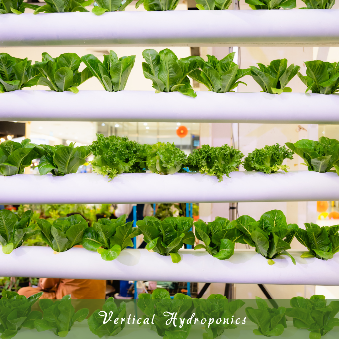 Vertical Hydroponics