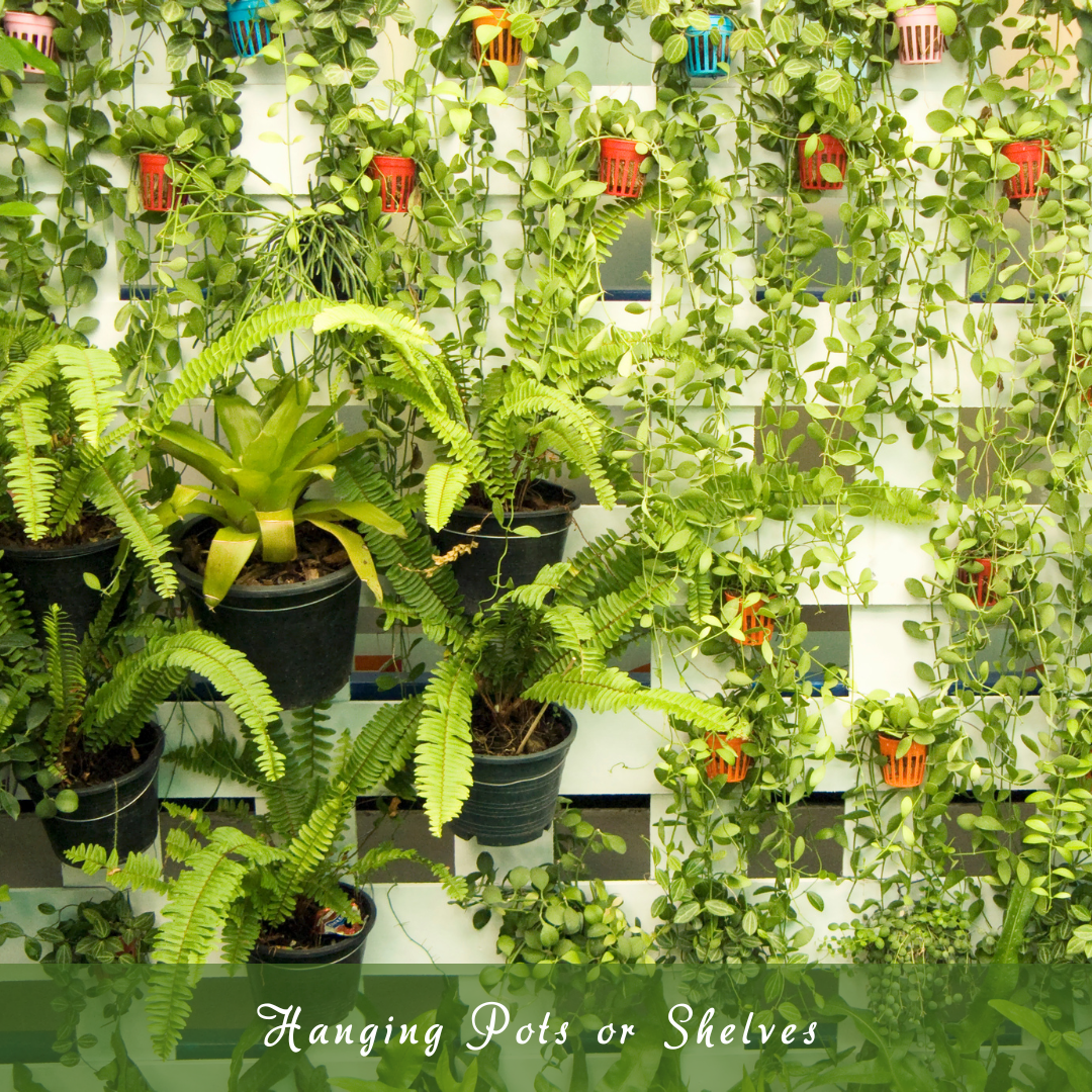 Hanging Pots Or Shelves