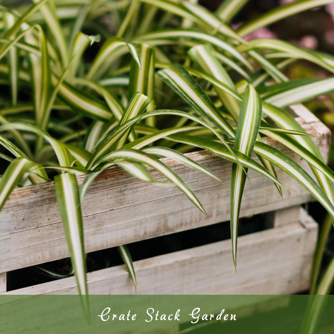 Crate Stack Garden