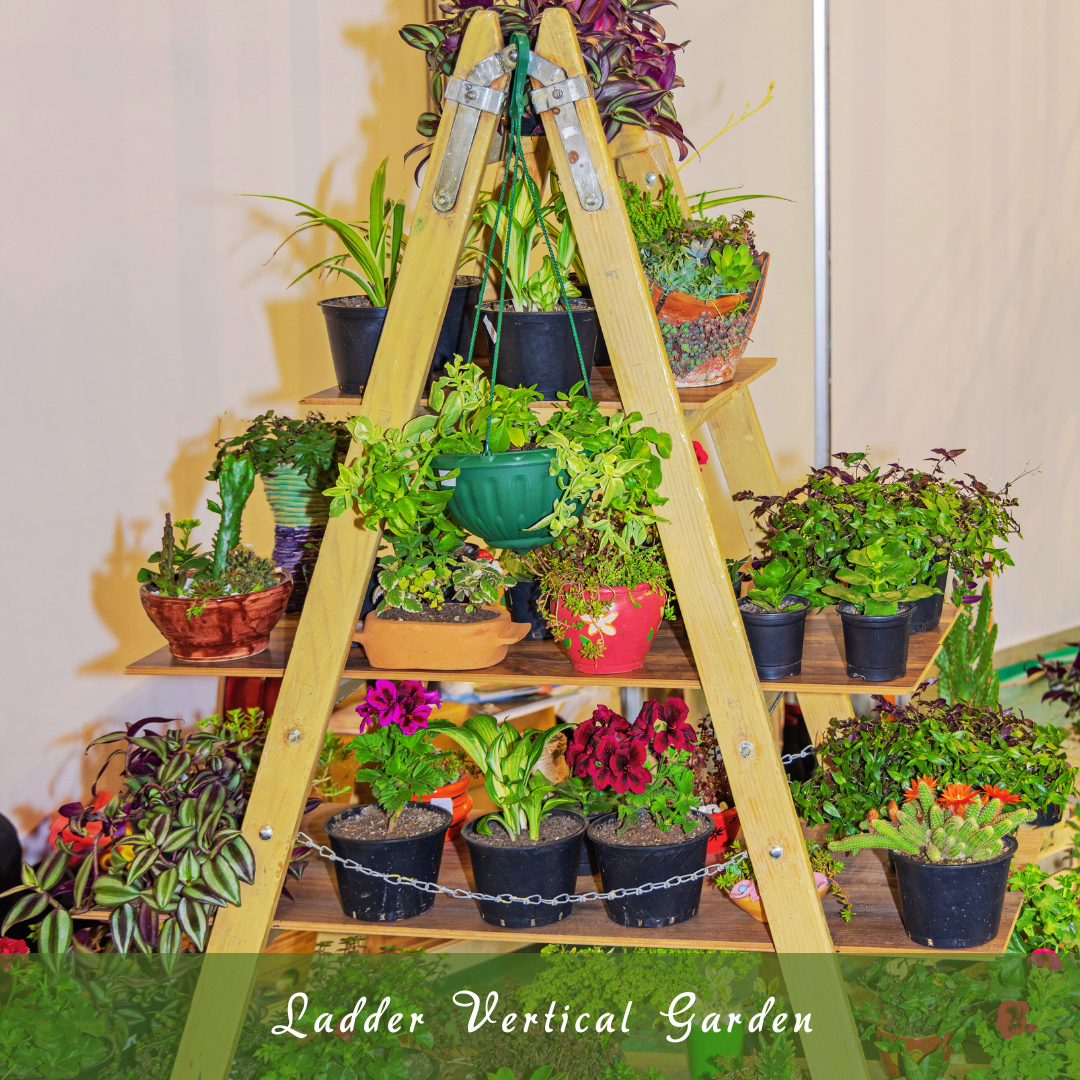 Ladder Vertical Garden