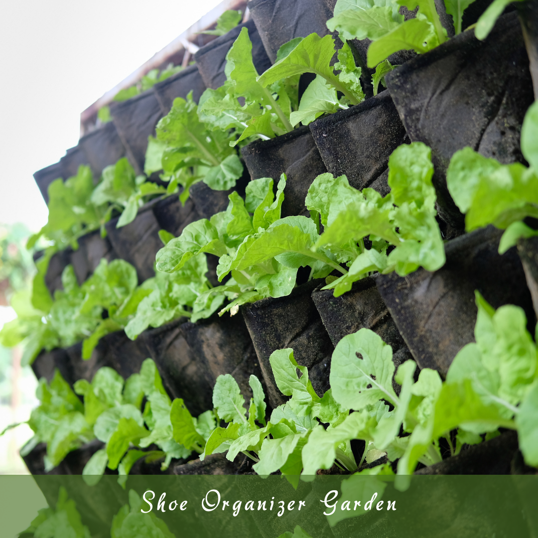 Shoe Organizer Garden