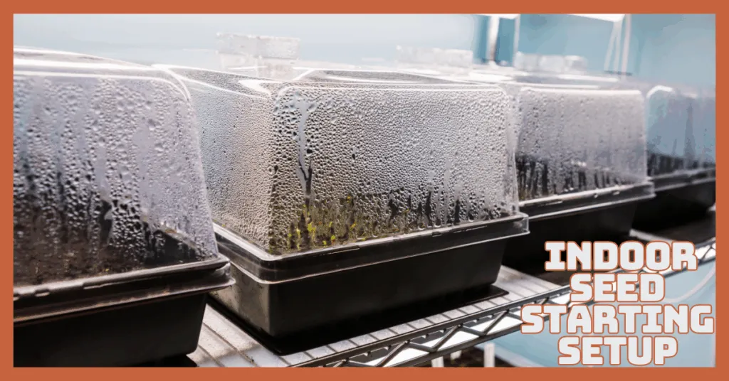 Easy Indoor Seed Starting Setup That Works | Updated In 2026
