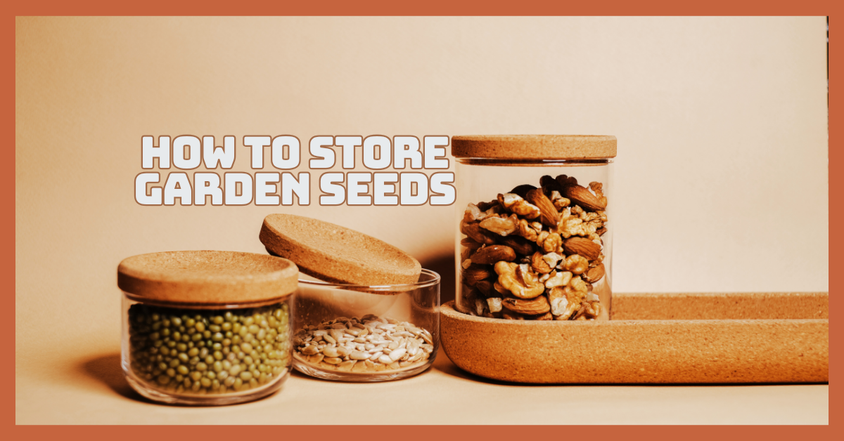 How To Store Garden Seeds For Long-Lasting Growth Power