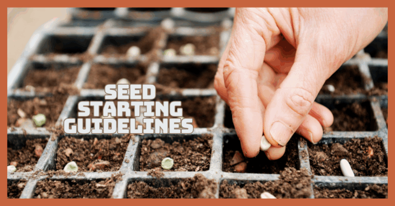 Seed Starting Guidelines For Thriving Gardens