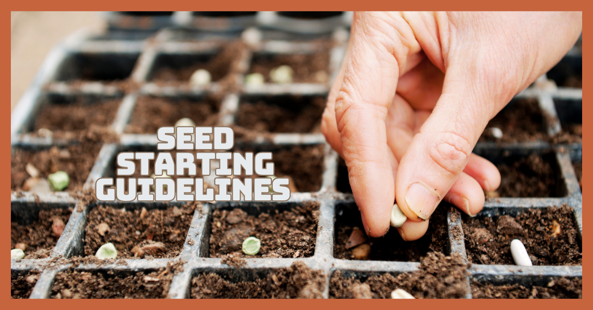 Seed Starting Guidelines For Thriving Gardens