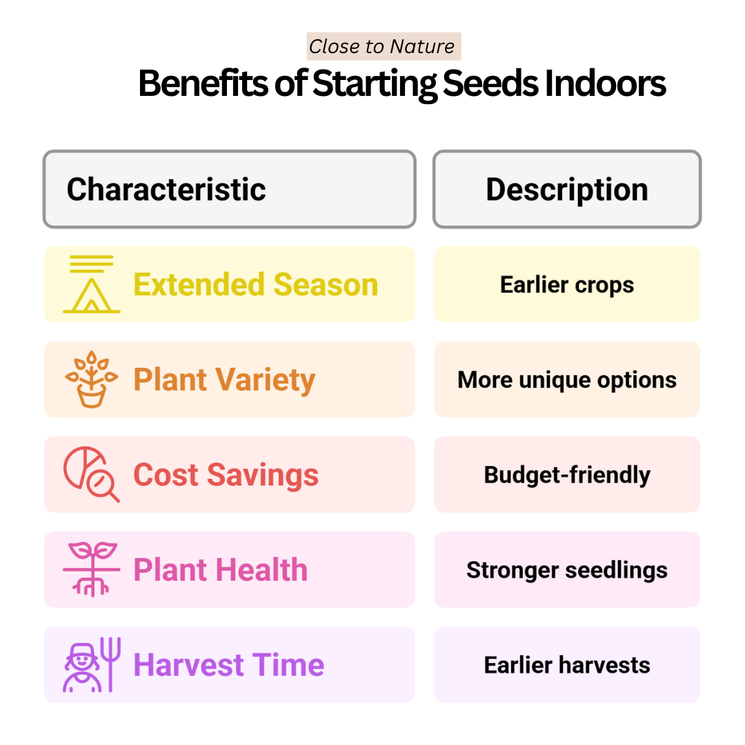 Benefits Of Starting Seeds Indoors