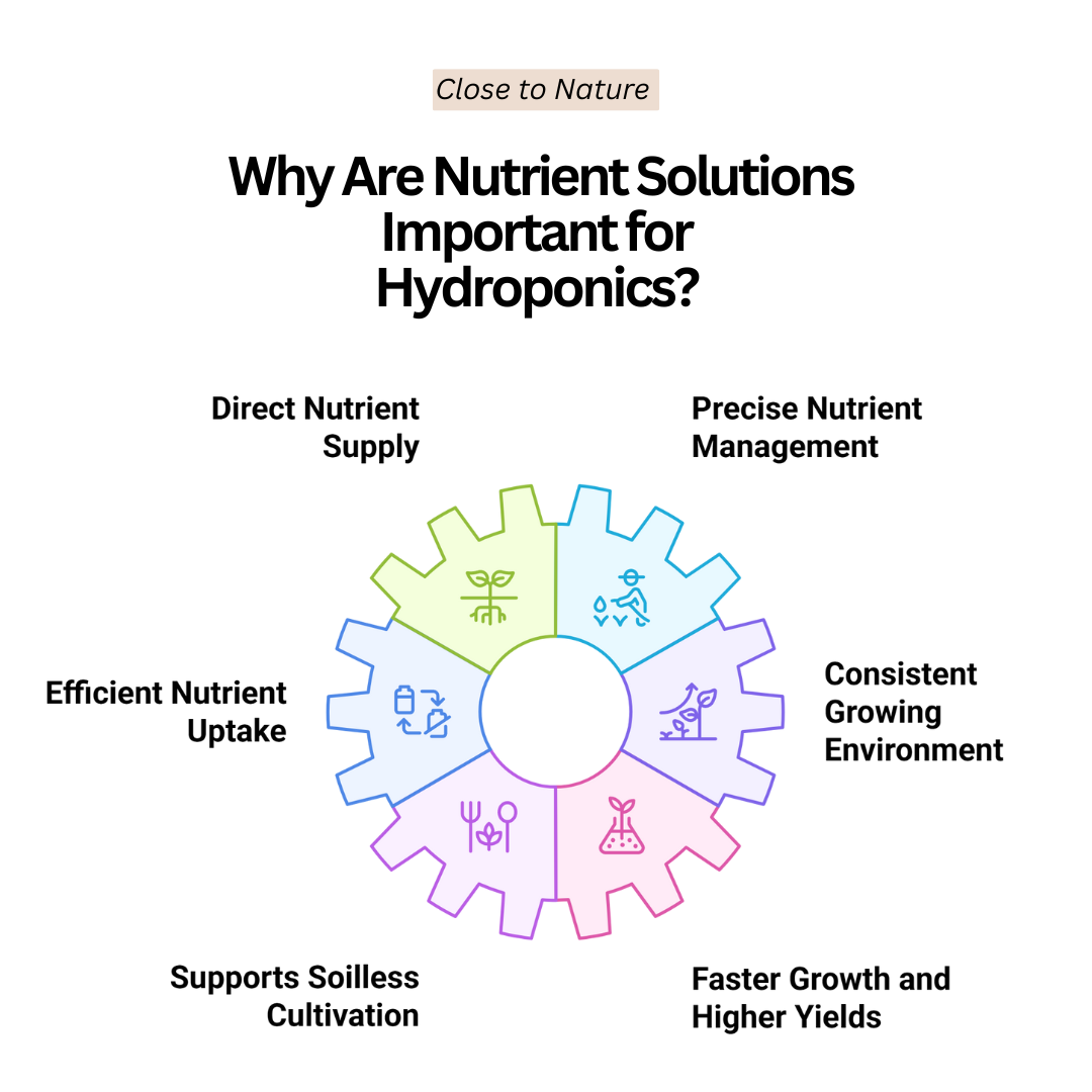 Why Are Nutrient Solutions Important For Hydroponics?