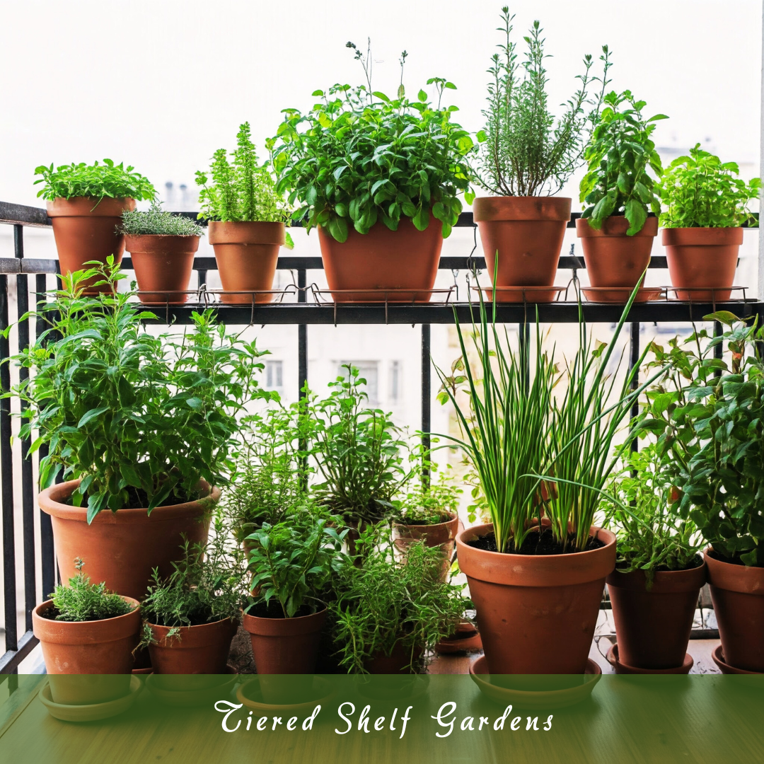 Tiered Shelf Gardens