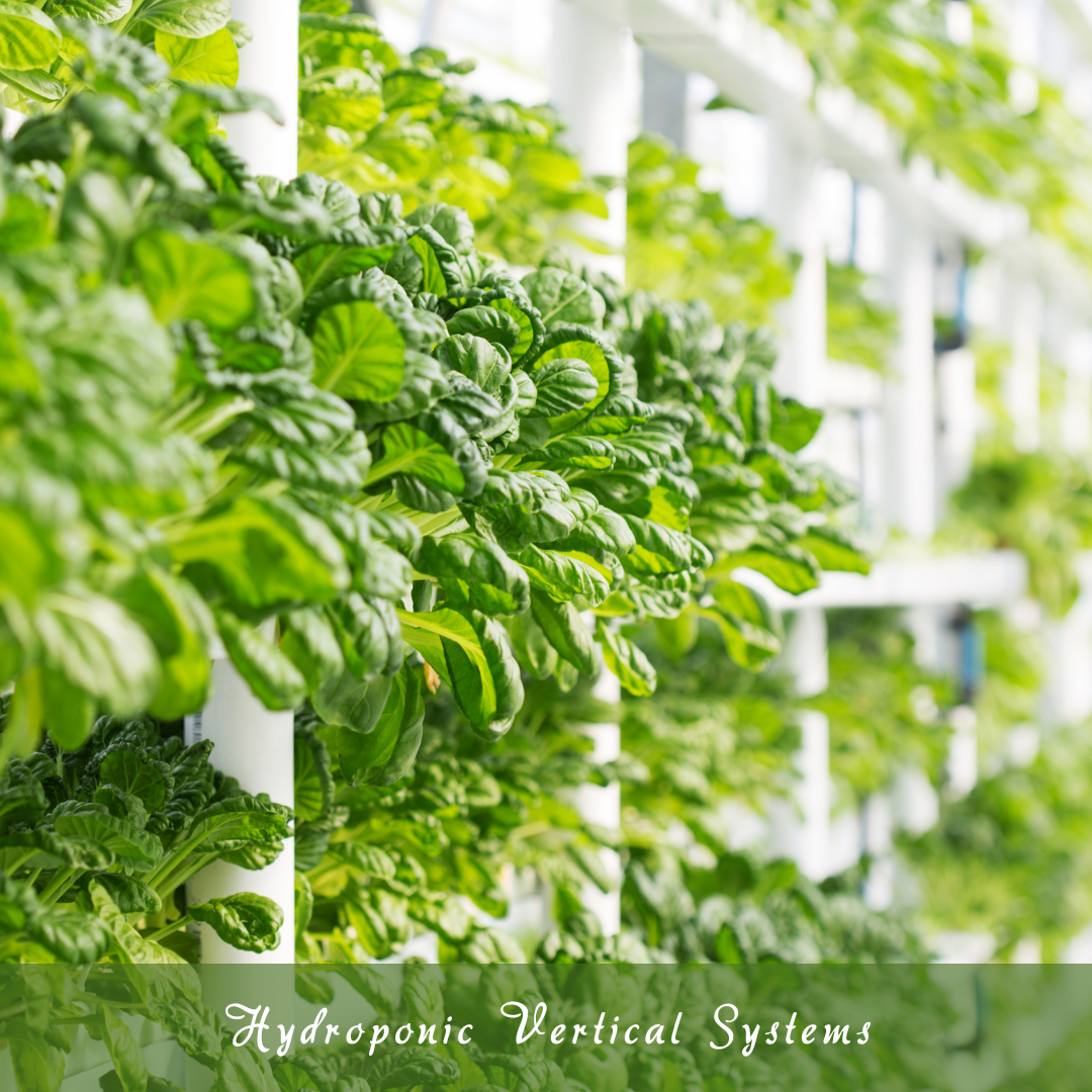 Hydroponic Vertical Systems