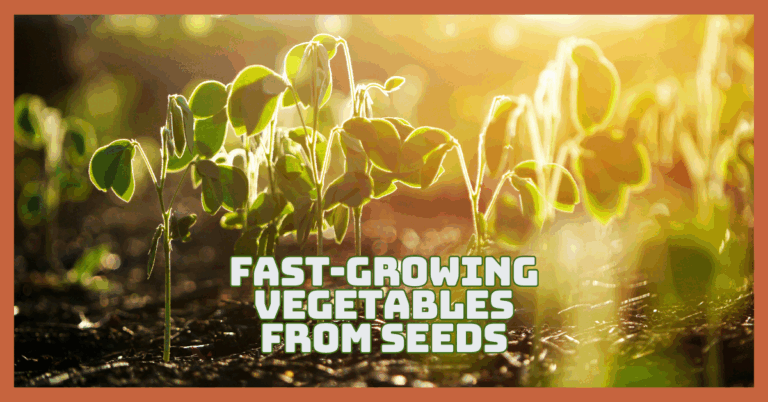 Grow Fast-Growing Vegetables From Seeds Like A Pro