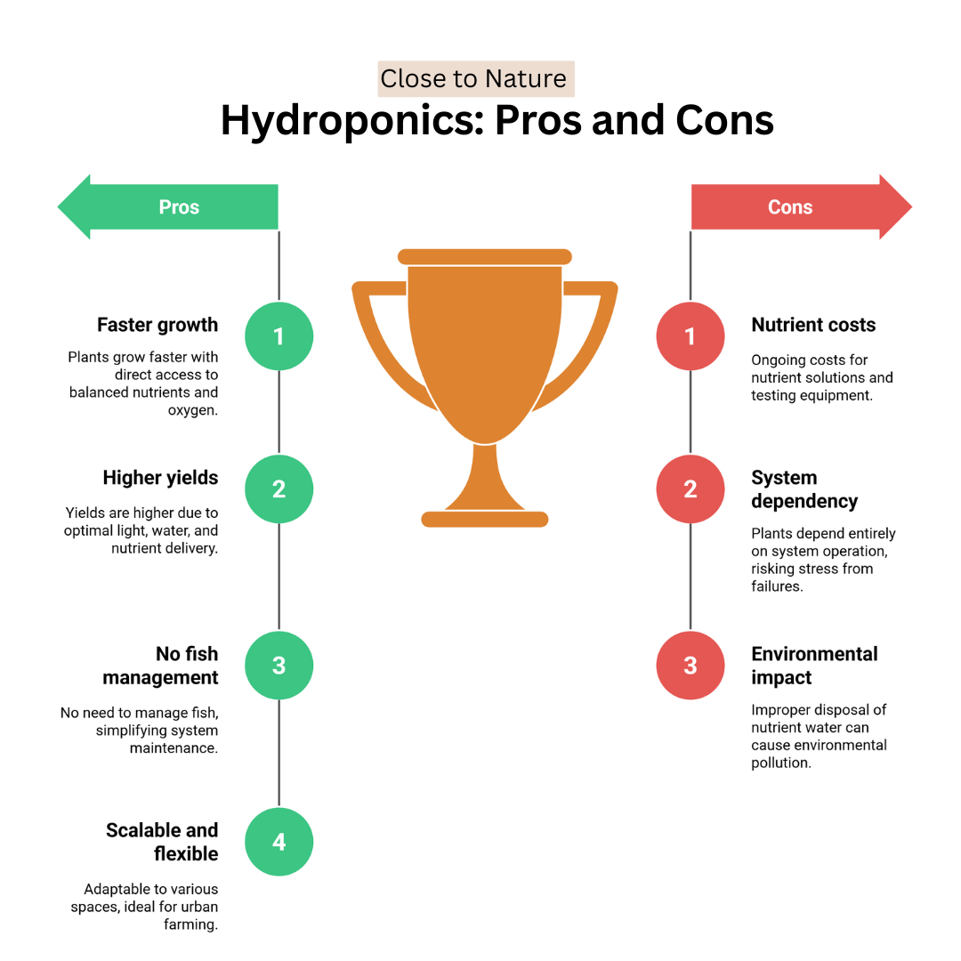 Hydroponics: Pros And Cons