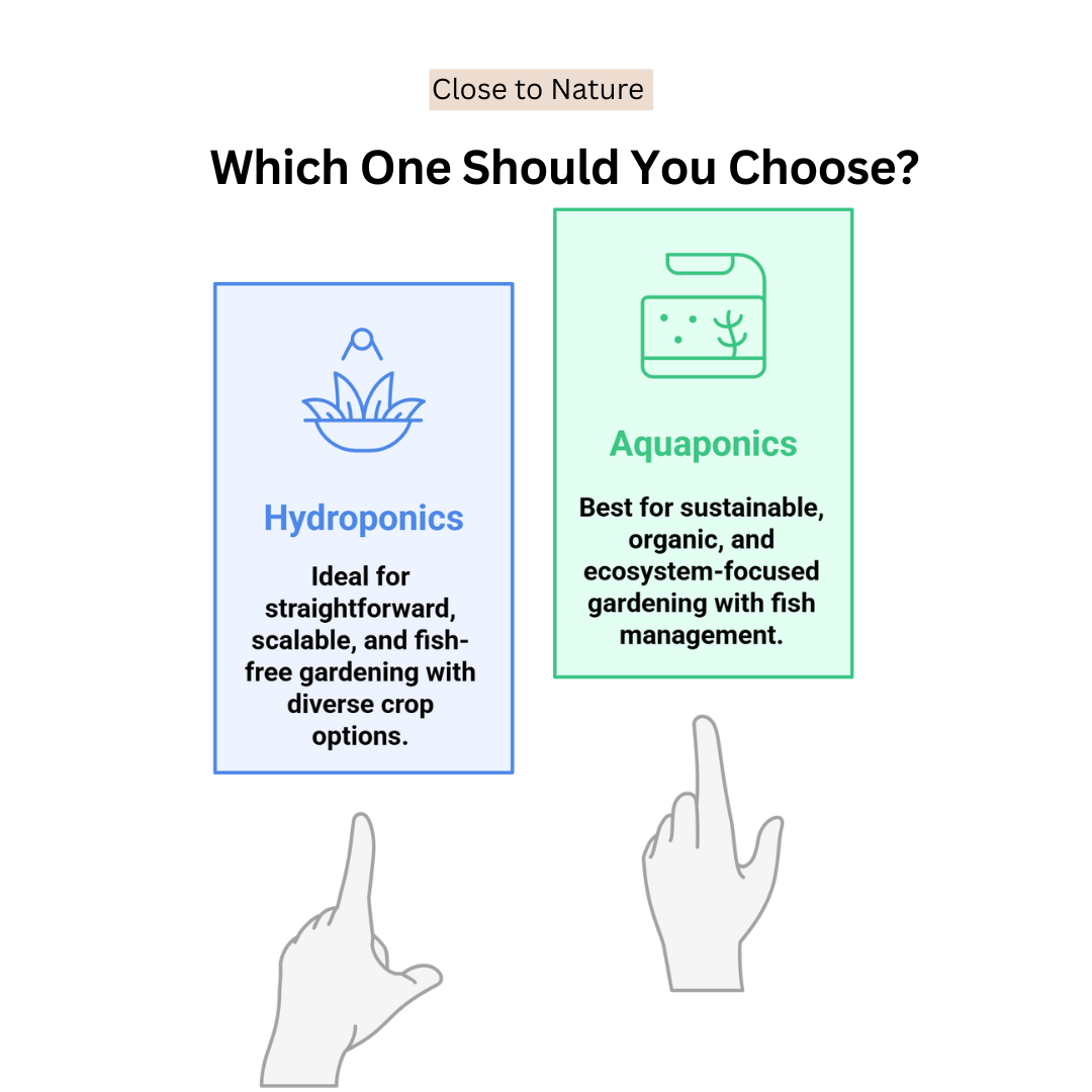 Which One Should You Choose?