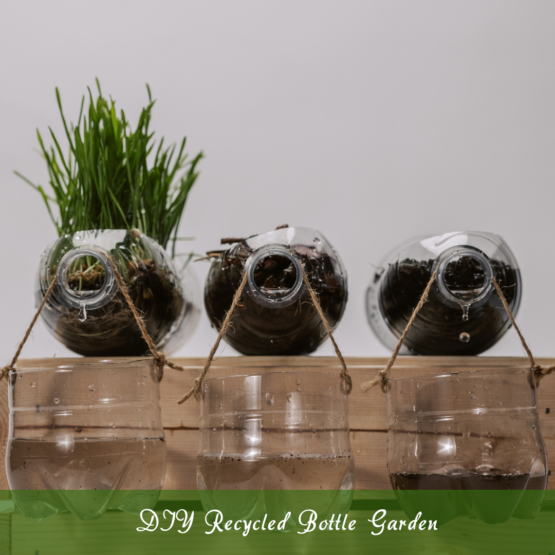 DIY Recycled Bottle Garden
