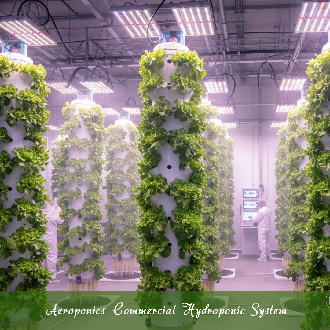Aeroponics Commercial Hydroponic System