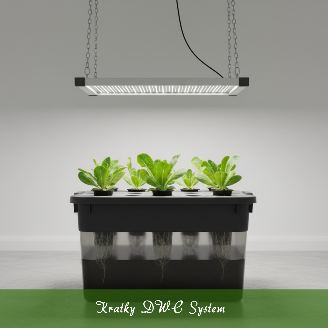 Kratky DWC System