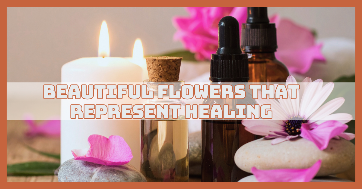 Beautiful Flowers That Represent Healing And Positivity