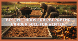 Best Methods For Preparing Garden Soil For Winter