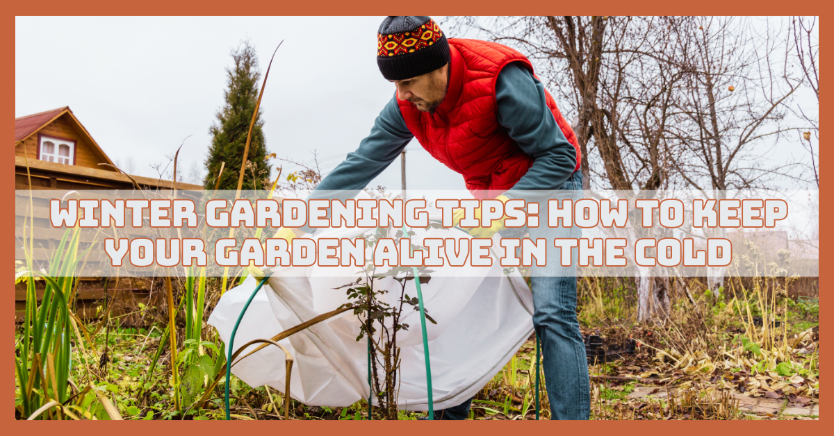 Winter Gardening Tips: How To Keep Your Garden Alive