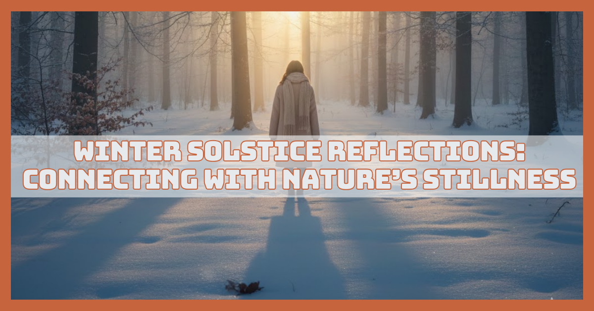 Winter Solstice Reflections: Embracing Stillness