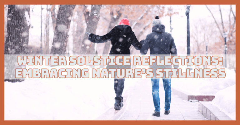 Winter Solstice Reflections: Embracing Nature's Stillness