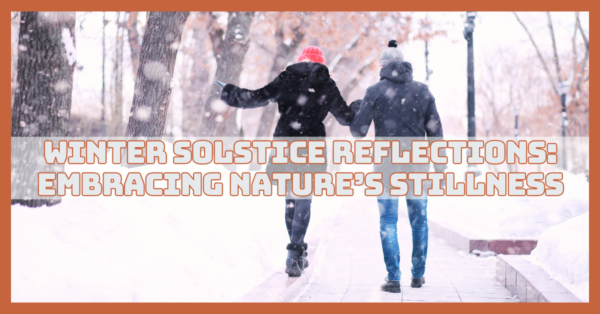 Winter Solstice Reflections: Embracing Nature's Stillness