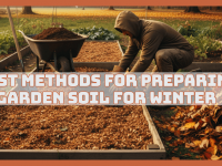 Best Methods For Preparing Garden Soil For Winter