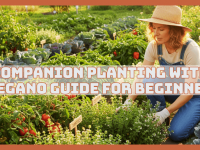 Companion Planting With Oregano Guide For Beginners Step-by-Step Companion Planting With Oregano Guide For Beginners