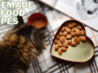 Homemade Cat Food Recipes
