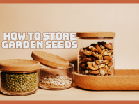 How To Store Garden Seeds For Long-Lasting Growth Power