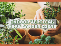Indoor Vertical Herb Garden Ideas You’ll Love