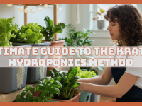 Ultimate Guide To The Kratky Hydroponics Method Ultimate Guide To The Kratky Hydroponics Method