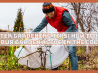 Winter Gardening Tips: How To Keep Your Garden Alive