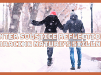 Winter Solstice Reflections: Embracing Nature's Stillness